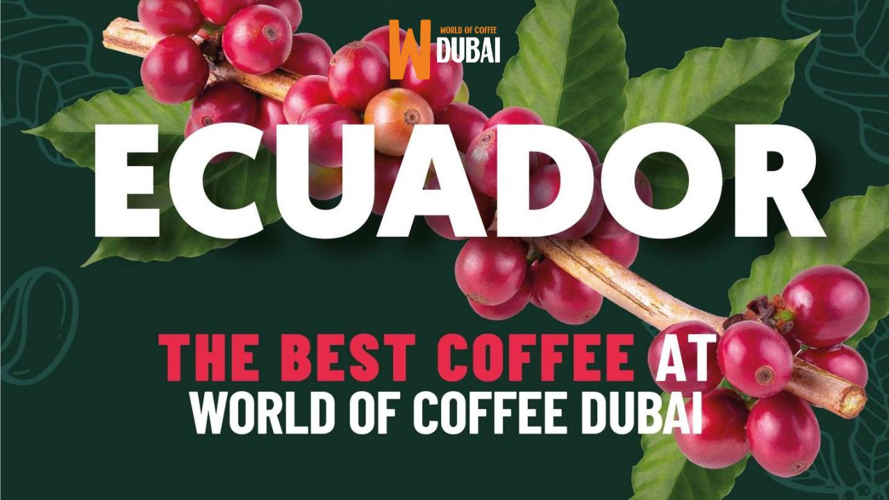 Café de origen ecuatoriano protagonista en la feria “World of Coffee Dubai 2024”